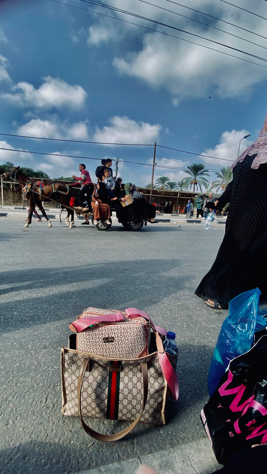 Forcibly Displaced on Foot... - Palbox