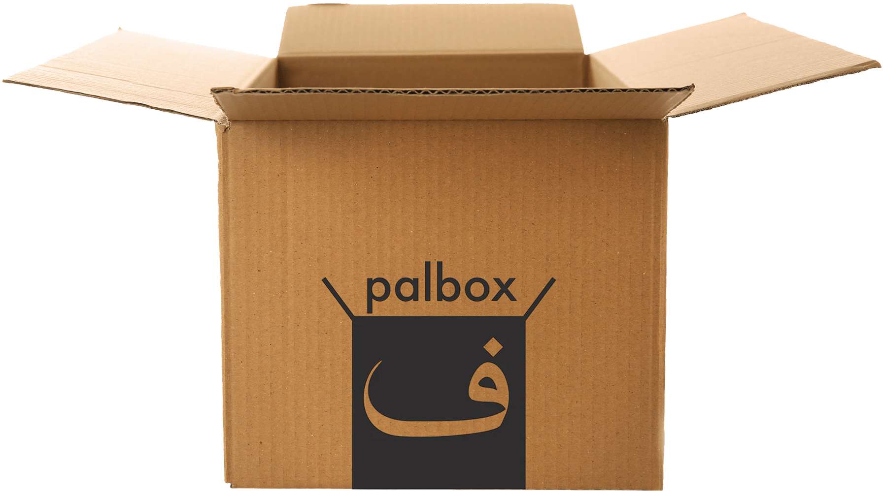 Cardboard Box with Palbox Logo Showcasing the Main Palbox Photo